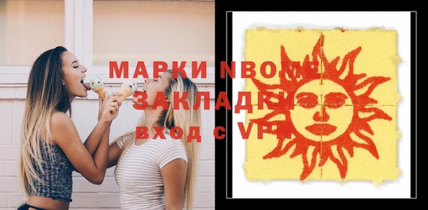 индика Балахна