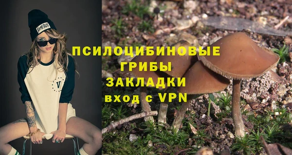 индика Балахна