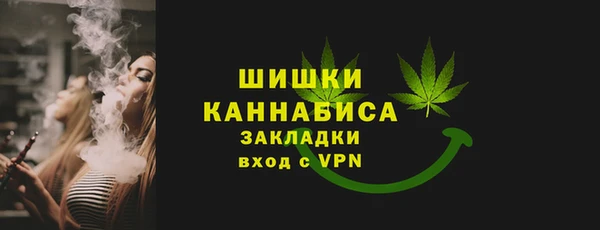 индика Гусиноозёрск