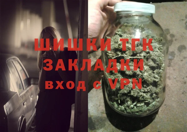 индика Гусиноозёрск