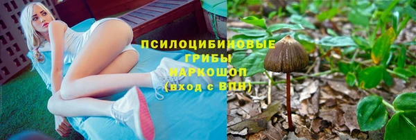 индика Балахна