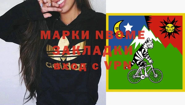 индика Балахна