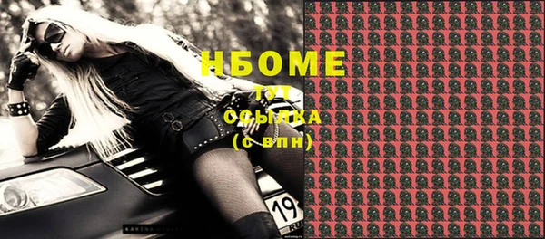 индика Балахна