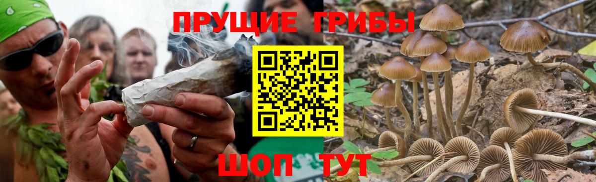 Псилоцибиновые грибы мухоморы  Верхний Уфалей 