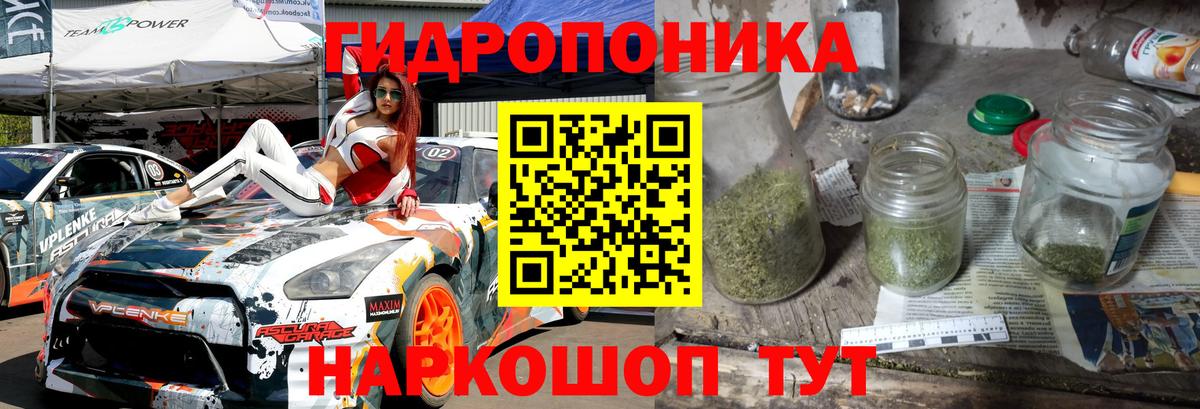 Шишки марихуана Amnesia Верхний Уфалей